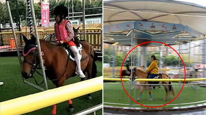 [뉴스pick] 회전목마에 '살아있는 말' 동원한 업체&hellip;동물 학대 논란