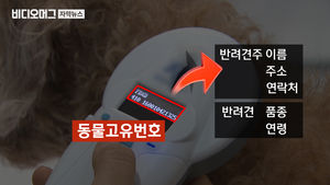 버려지는 반려견 막는다&hellip;서울시, 내장형 칩 시술 지원
