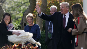 트럼프 추수감사절 휴가 마치고 일요일 복귀&hellip;이튿날 선거집회