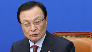 이해찬 "이재명 문제, 정무적으로 판단할 단계 아니다"