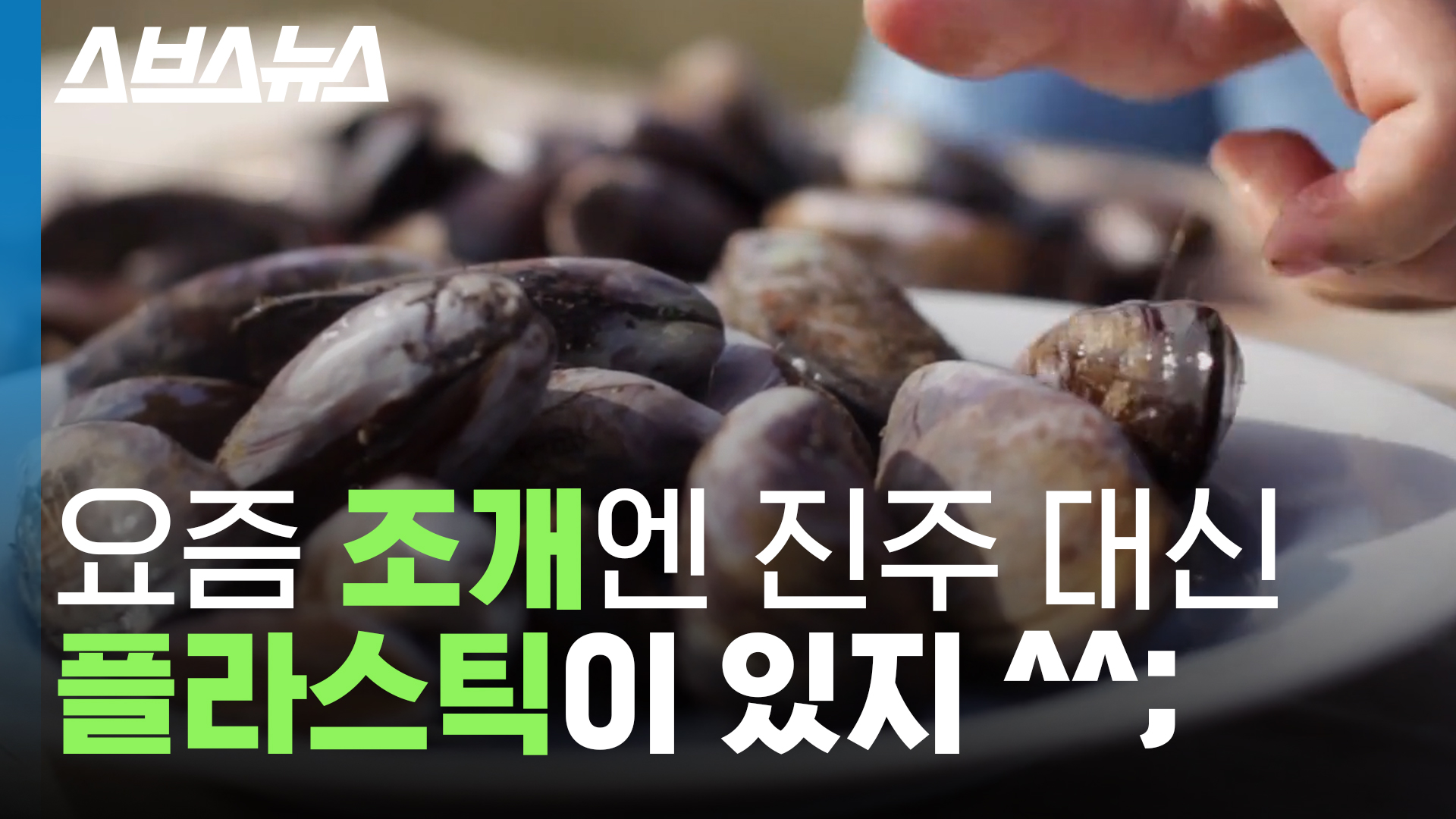 조개 안에 미세 플라스틱이?…도대체 어디서 온 걸까