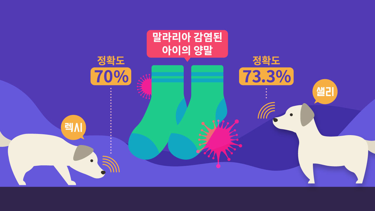 [라이프/24일 9시] 어느날 반려견이 당신의 병을 알아차릴 수 있을지도 모른다?