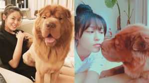 [SBS Star] AOA Seol Hyun Expresses Love for Her Dog 'Dungchee'!