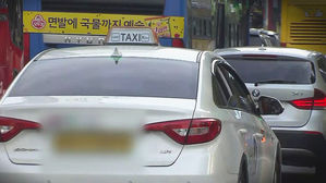 끼어든 차량 쫓아가 급정거한 택시&hellip;法 "특수협박죄"