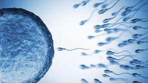 "임신 때 담배 피운 아버지의 아들, 정자 수 적어"