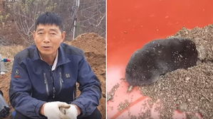 [영상pick] "자꾸 보게 되네" 두더지 영상 올리고 대박 난 중년 농부 유튜버