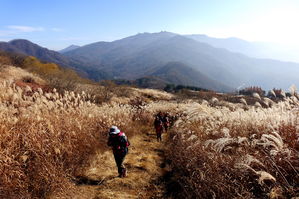 [라이프] '세상의 누구도 외딴 섬이 아니다'…양평 대부산