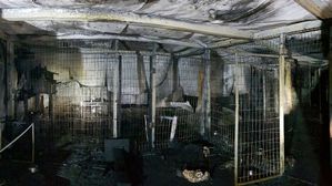 [스브스타] 이효리 '순심이' 데려온 보호소 화재&hellip;유기동물 260여 마리 죽어