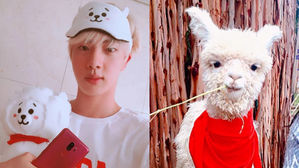 [SBS Star] BTS Fans in Peru to Adopt Alpaca for JIN's Birthday