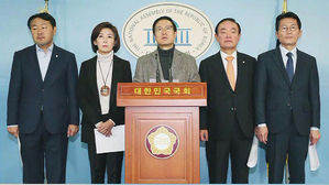 "정개특위 선거제 개혁안, 12월까지 마련…1월 내 합의"