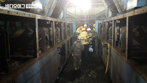 [단독] 시신 옆에서 돌아간 '점검대상' 벨트&hellip;안전검사도 엉터리