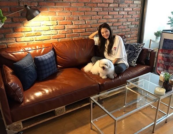 뭘 해도 대박났을 것 같은 '금손' 아이돌 스타 5명