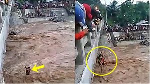 [영상pick] 강에서 빨래하다 급류에 갇힌 엄마와 아이들 '극적 구출'