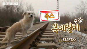 반려동물도 이젠 복제한다? 중국 스타견의 복제견 탄생