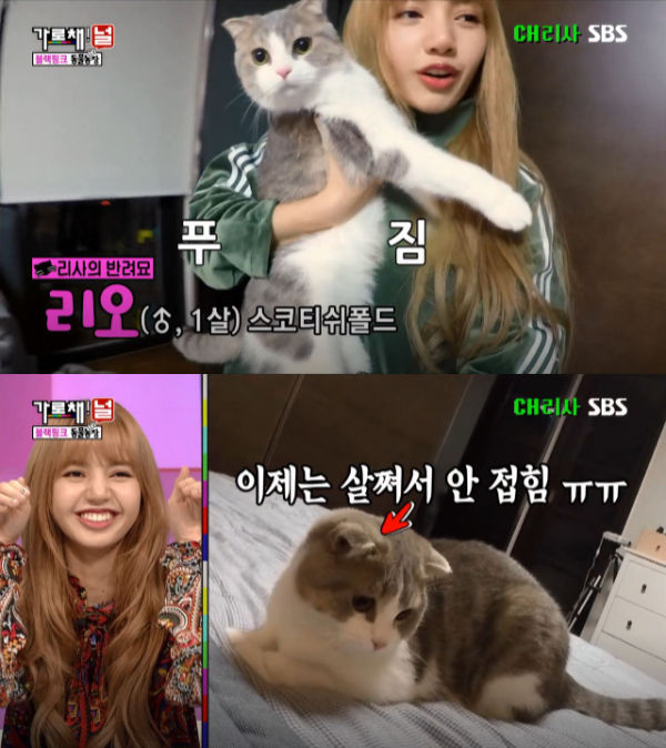 BLACKPINK We Will Channel You!