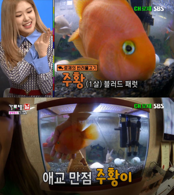 BLACKPINK We Will Channel You!