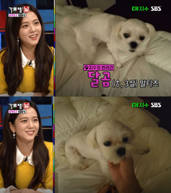 BLACKPINK We Will Channel You!