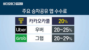'생존권' vs '新산업'&hellip;카풀 둘러싼 갈등, 그 본질은?