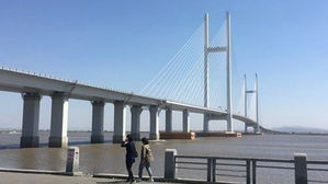 대북제재 여파&hellip;북한 올해 中 수출 10분의 1로 급감