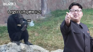 [통수주의] 김정은 위원장이 북한 동물원에 하사한 '희귀동물'&hellip;그 정체는?!