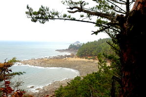 [라이프] 지천명(知天命)을 생각하다 - 태안 솔향기길 1코스 ③