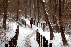 [라이프] 설중한담(雪中閑談) - 내변산(內邊山)을 걷다 ①