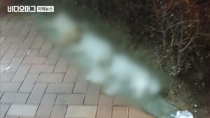 건물 밖으로 내던져진 강아지 3마리&hellip;20대 견주 입건