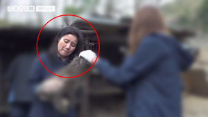 靑에 유기견 보낸 단체, 멀쩡한 개 '수백 마리 안락사'