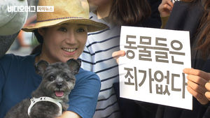 박소연 '케어' 대표, 수백 마리 도살 약물 구매 지시까지