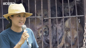 '모든 생명은 소중하다'던 박소연 대표&hellip;보호견 안락사 논란 증폭