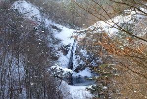 [라이프] 나는 놈 위에 노는 놈 있다 - 내변산(內邊山)을 걷다 ②