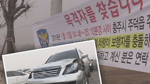 무면허 뺑소니 용의자 검거