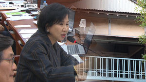 손혜원 동생 "건물 매입, 우리 뜻 아냐"&hellip;차명재산 의혹