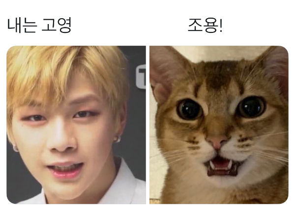 Kang Daniel