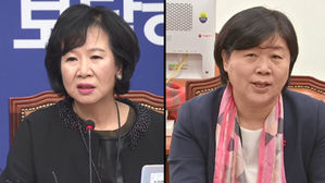 "손혜원&middot;서영교 의원 의혹 수사"&hellip;시민단체 고발 잇따라