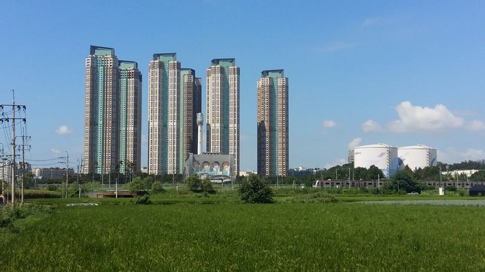 요진와이시티 내 전경