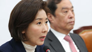 나경원 "'손혜원 의혹', 특검·국정조사 해야"