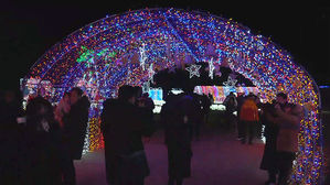[광주] LED 전구가 빚어낸 빛의 향연&hellip;보성 '빛 축제'