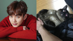 [SBS Star] Yoo Seung Ho Makes His Fans Burst into Laughter with a Funny Picture of His Cat