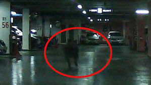 심야 아파트 주차장 활보 멧돼지 포획 실패&hellip;주민 불안