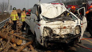 달리던 25t 트럭서 나무 '우르르'&hellip;뒷차 운전자 중상