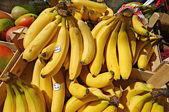 건강 위해 일주일에 과일 '6kg'씩 먹은 60대 남자의 최후