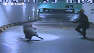 멧돼지 습격에 60대 사망&hellip;잇따른 출몰에 커지는 공포