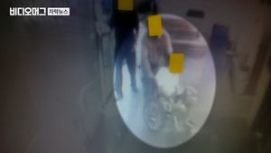 범죄 저질러도 '영원한 의사'&hellip;면허 취소돼도 재교부