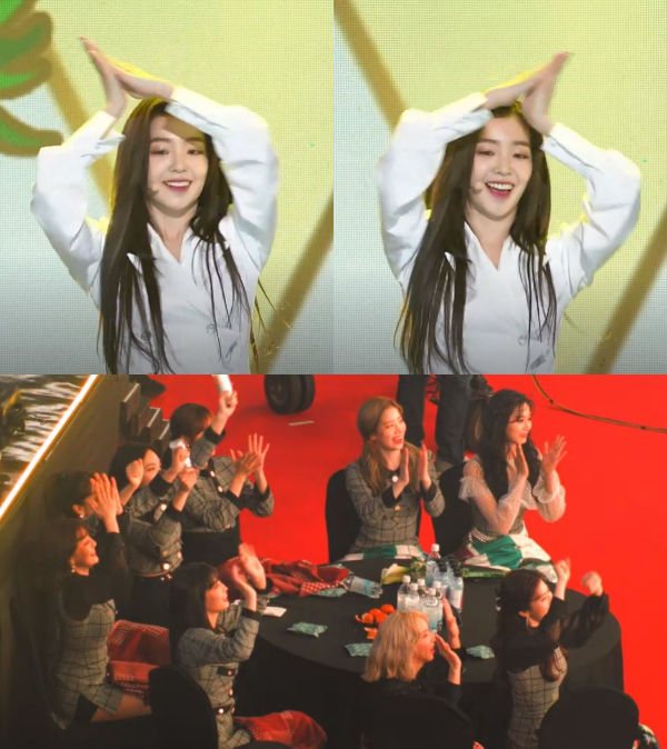 TWICE, Red Velvet IRENE