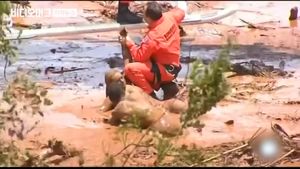 브라질 댐 붕괴 '수백 명 실종'&hellip;진흙더미 속 구조 막막