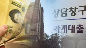 한국 작년 가계빚 증가 속도&middot;비율, 세계 34개국 중 1위