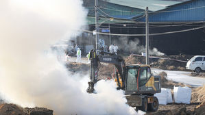 경기 안성 젖소 구제역 0형 확진&hellip;'주의' 단계 유지