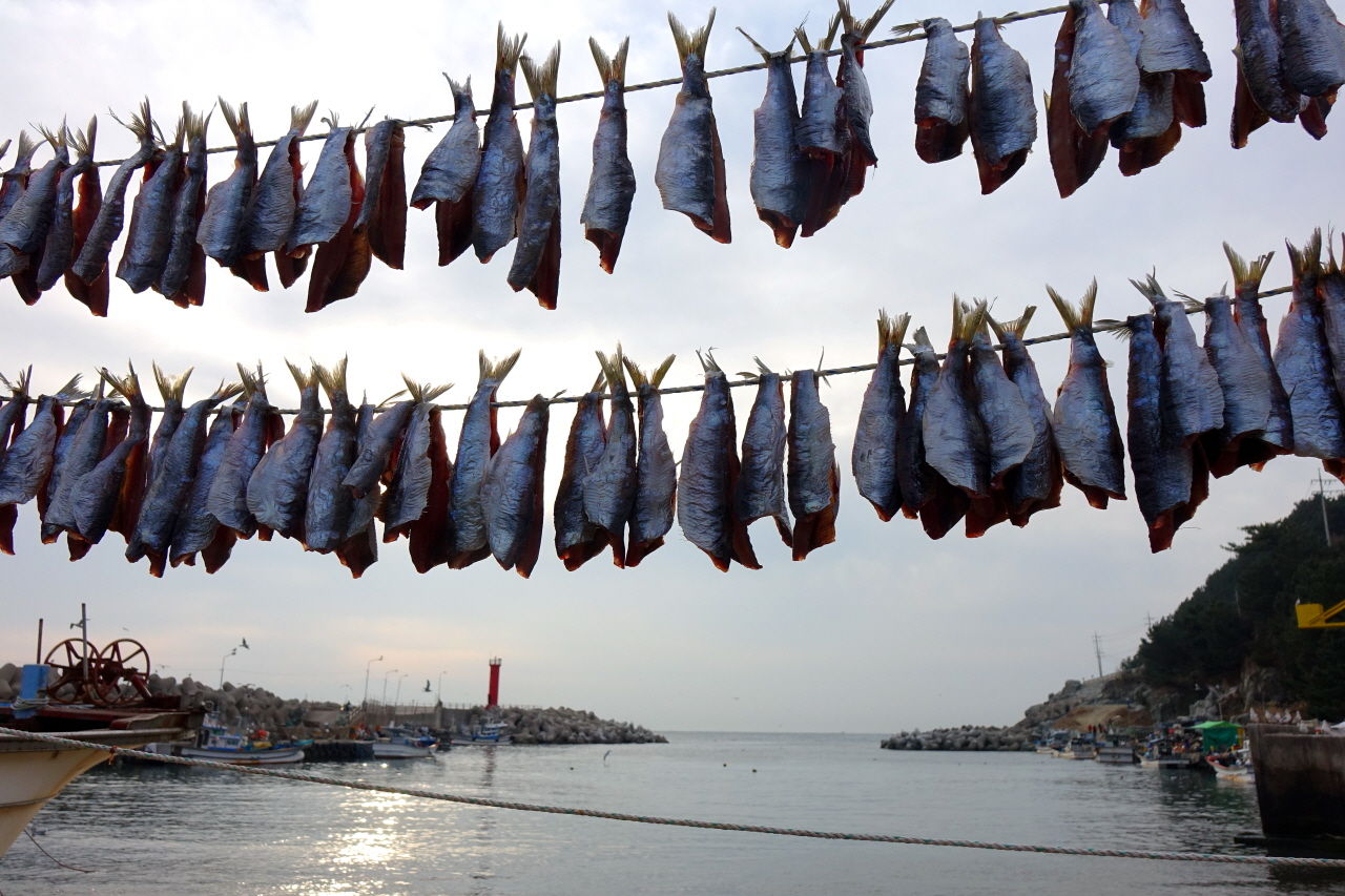 [라이프] 길 위에서 과메기를 만나다 - 영덕 블루로드 B코스 ①