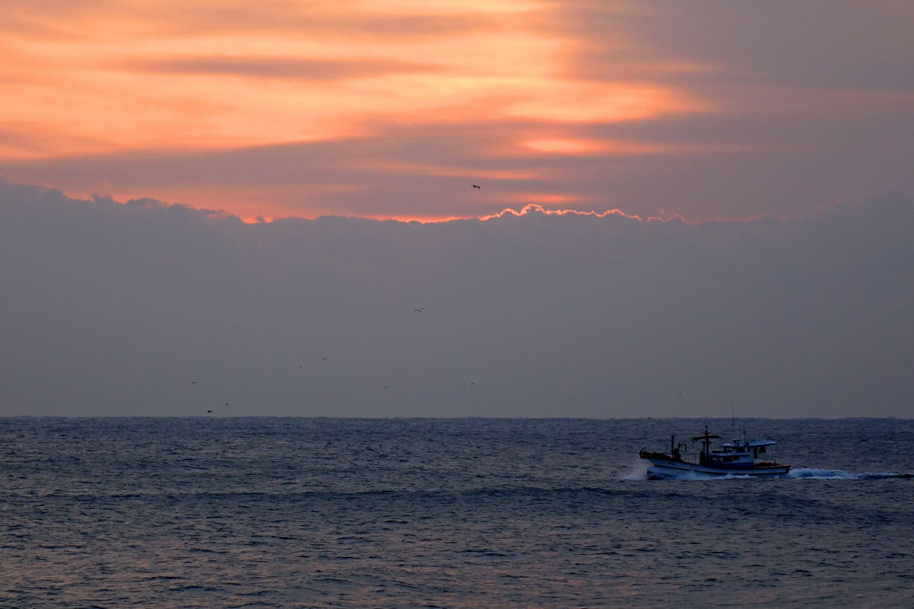 - 영덕 블루로드 8